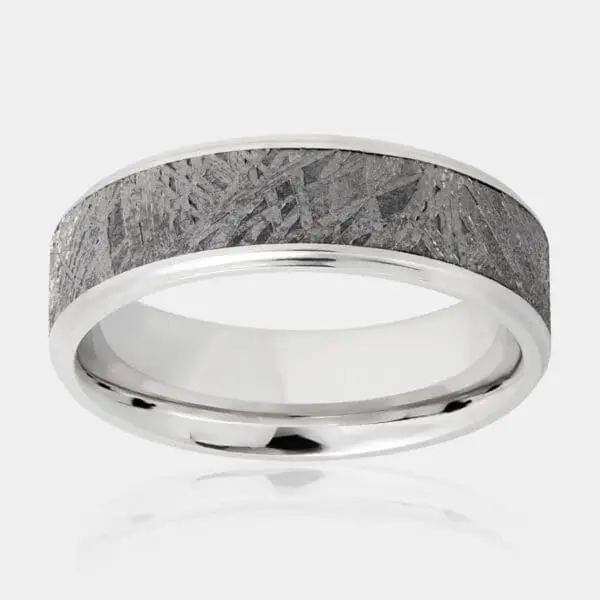 Meteorite and Cobalt Chrome Men's Ring - Men's Wedding Rings - DDS Diamonds