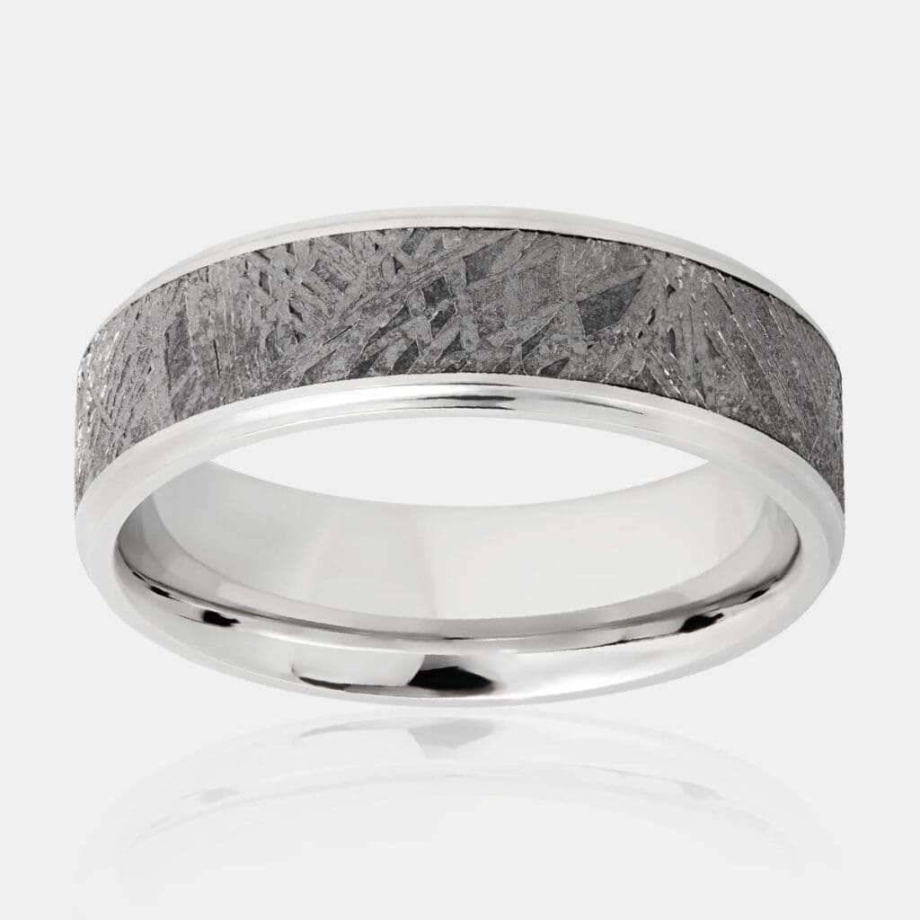 Meteorite and Cobalt Chrome Men's Ring