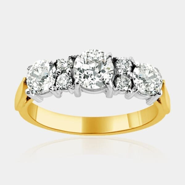 Anne Two Tone Gold Diamond Dress Ring